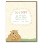Modern Printed Matter Hamster Babies Pregnancy Card