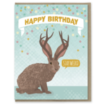 Modern Printed Matter Stay Weird Jackalope Birthday Card