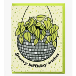 Boss Dotty Disco Planter Birthday Card