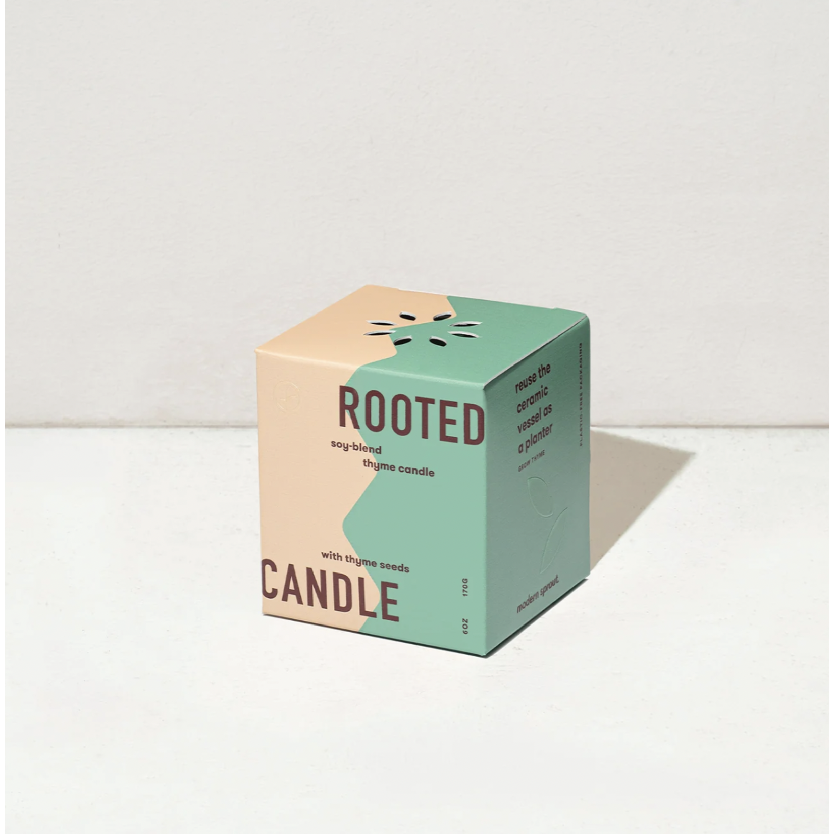 Modern Sprout Rooted Candle - Thyme