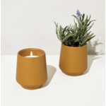 Modern Sprout Rooted Candle - Lavender