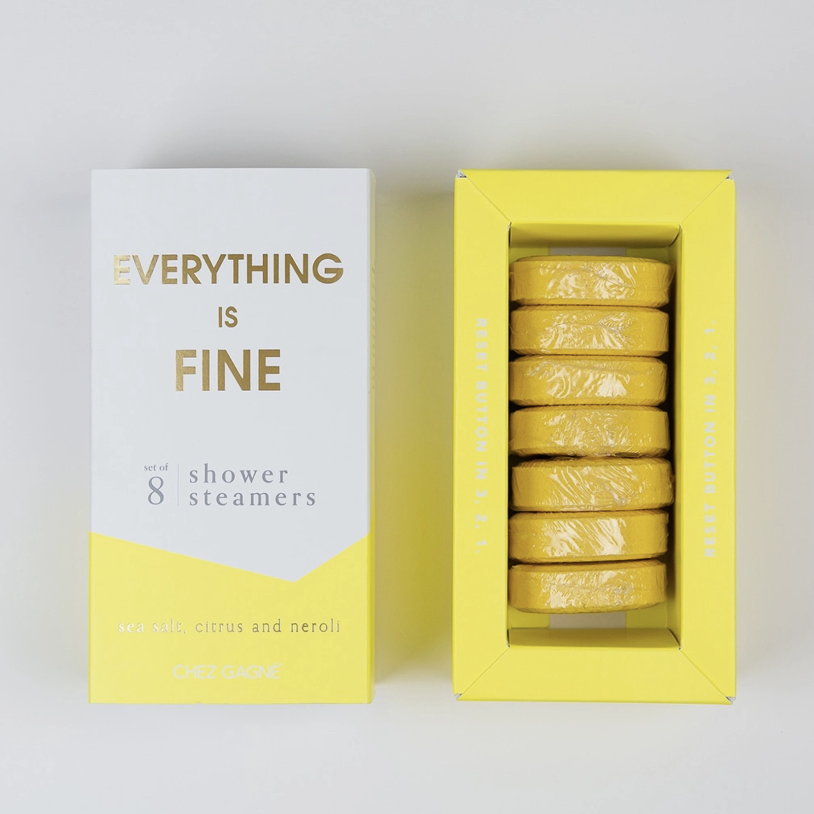 Chez Gagne Everything is Fine Shower Steamers