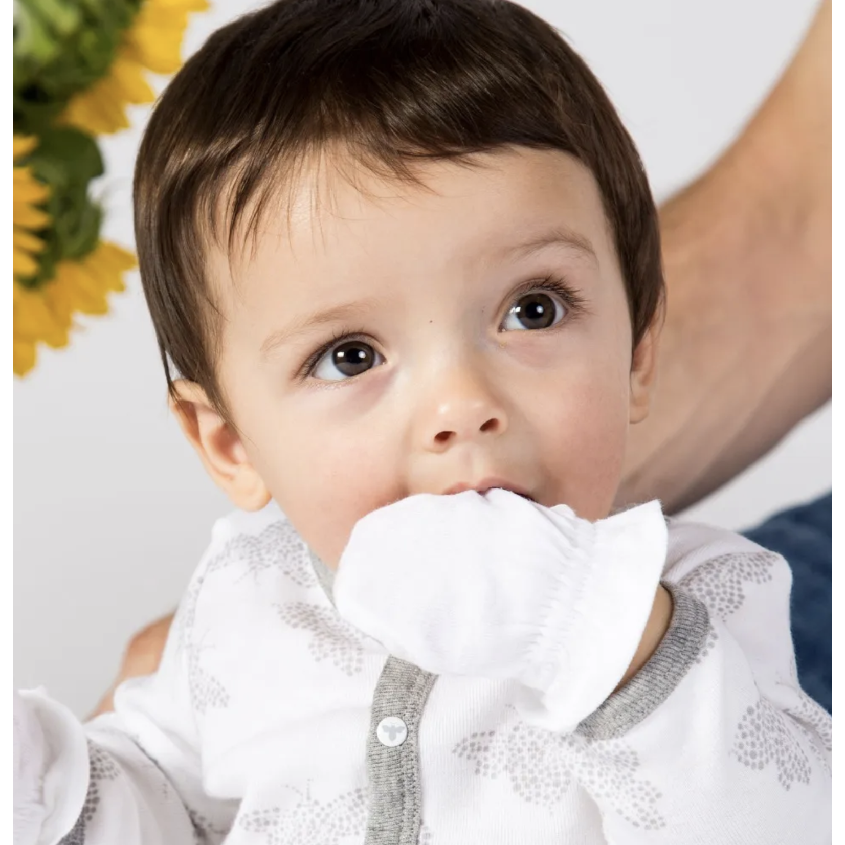 Burt's Bees 3 Pack Organic Baby Mittens- Blossom