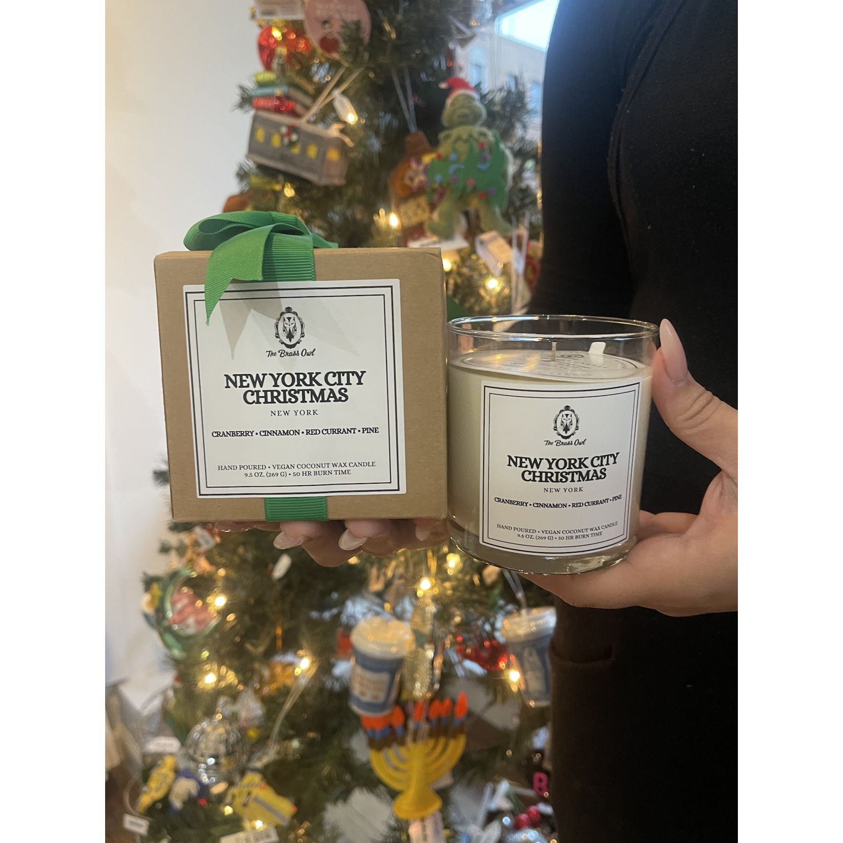 Planet Sis New York City Christmas