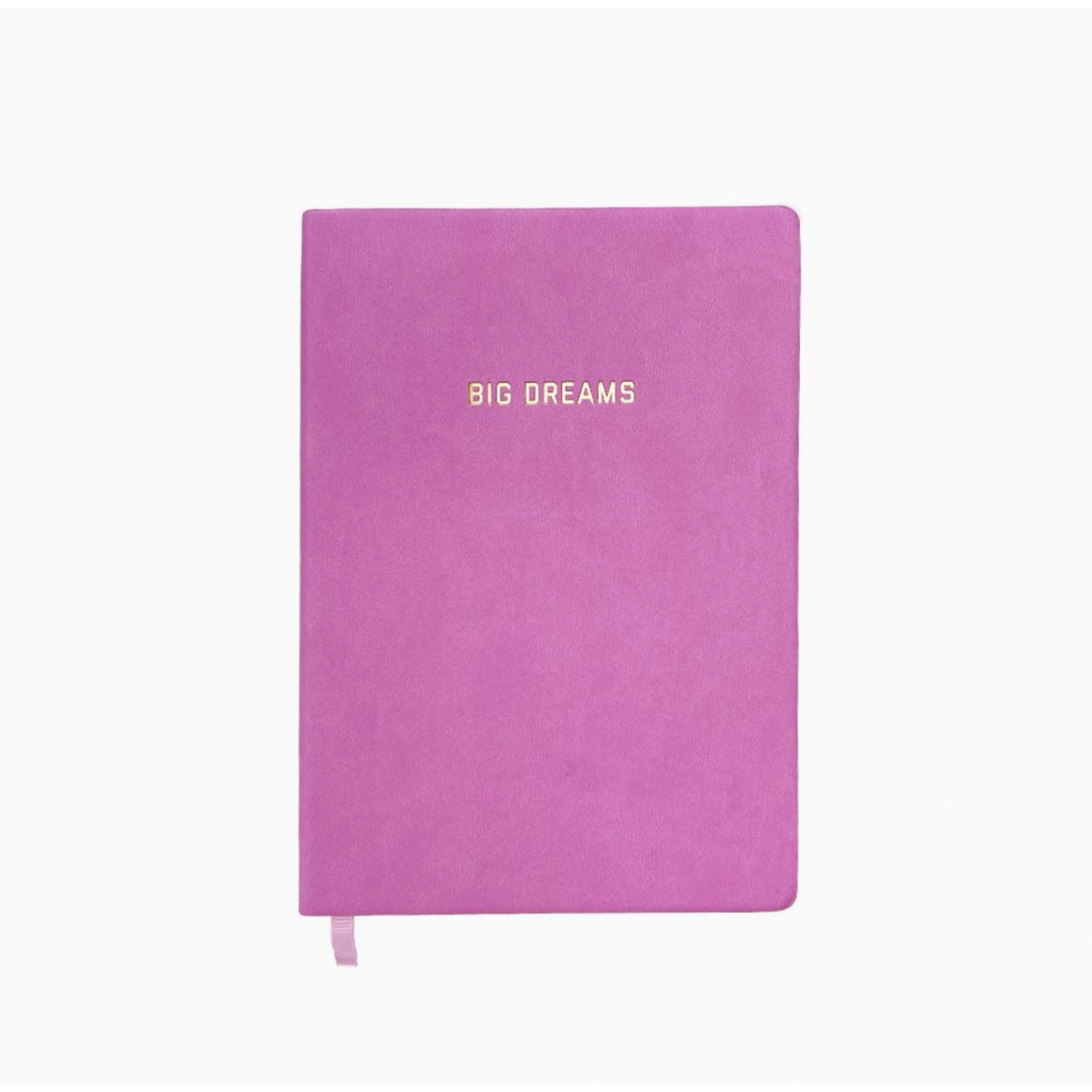 Golden Gems Big Dreams Lined Journal - Pink