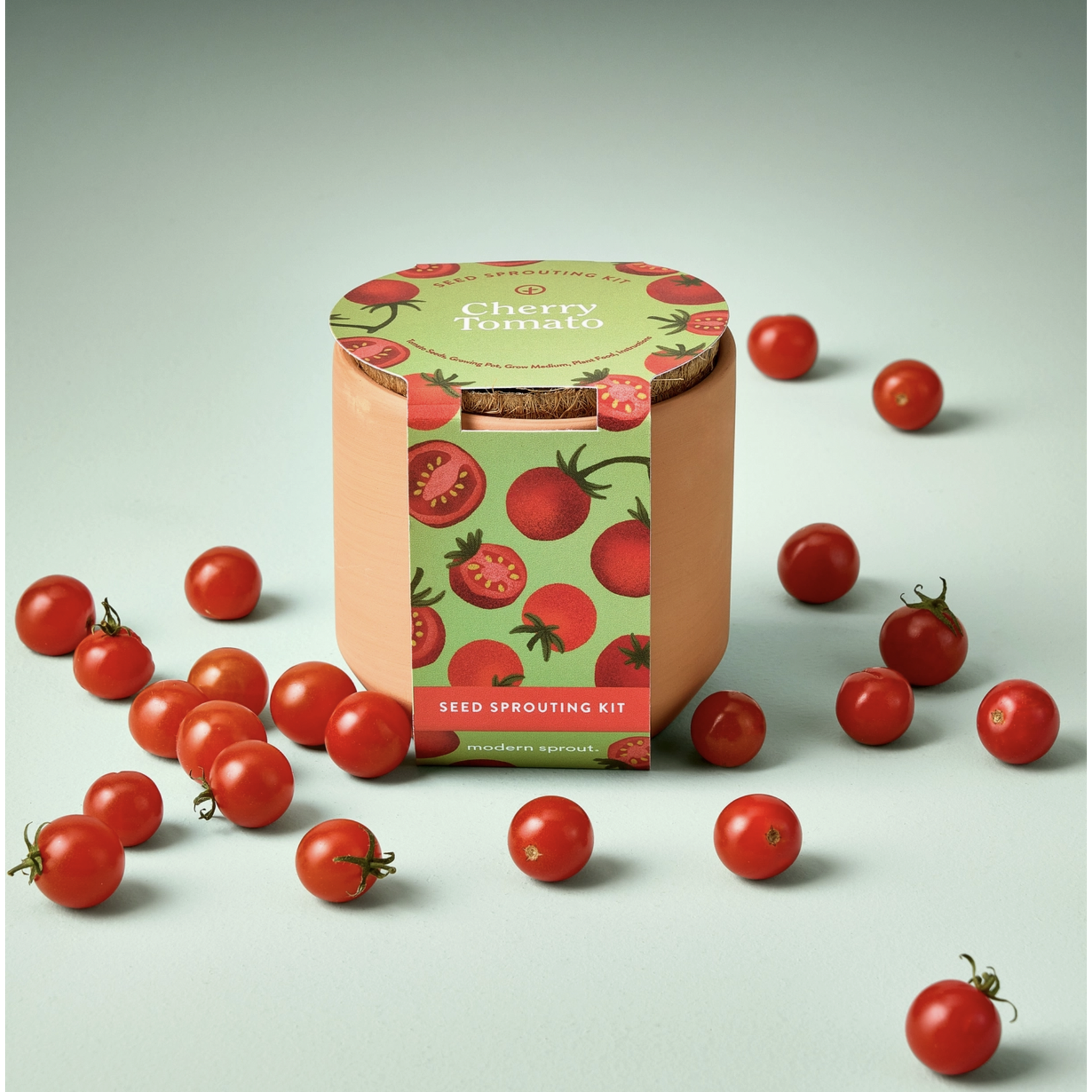Modern Sprout Tiny Terracotta Garden Kit Cherry Tomato