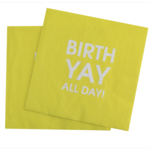 Chez Gagne BirthYAY All Day - Cocktail Napkins