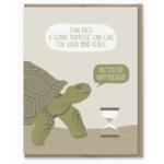 Modern Printed Matter Tortoise Fact Birthday Card