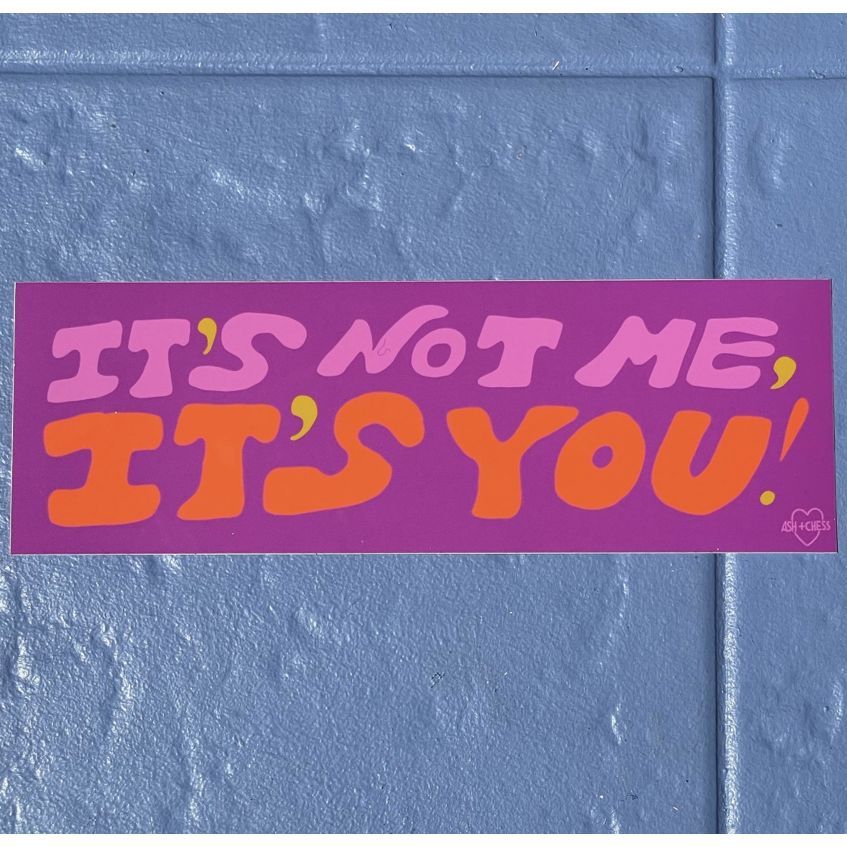 Ash + Chess Bumper Sticker - It's Not Me, It's You