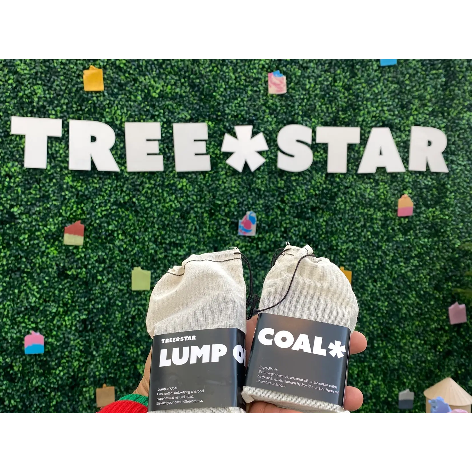 treestar Treestar Soap - Lump of Coal