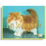 Smitten Kitten I'm Sowwwwy Card
