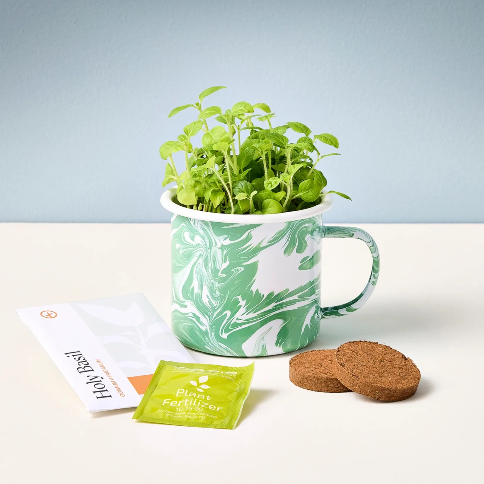 Modern Sprout Altered Herbs -Holy Basil