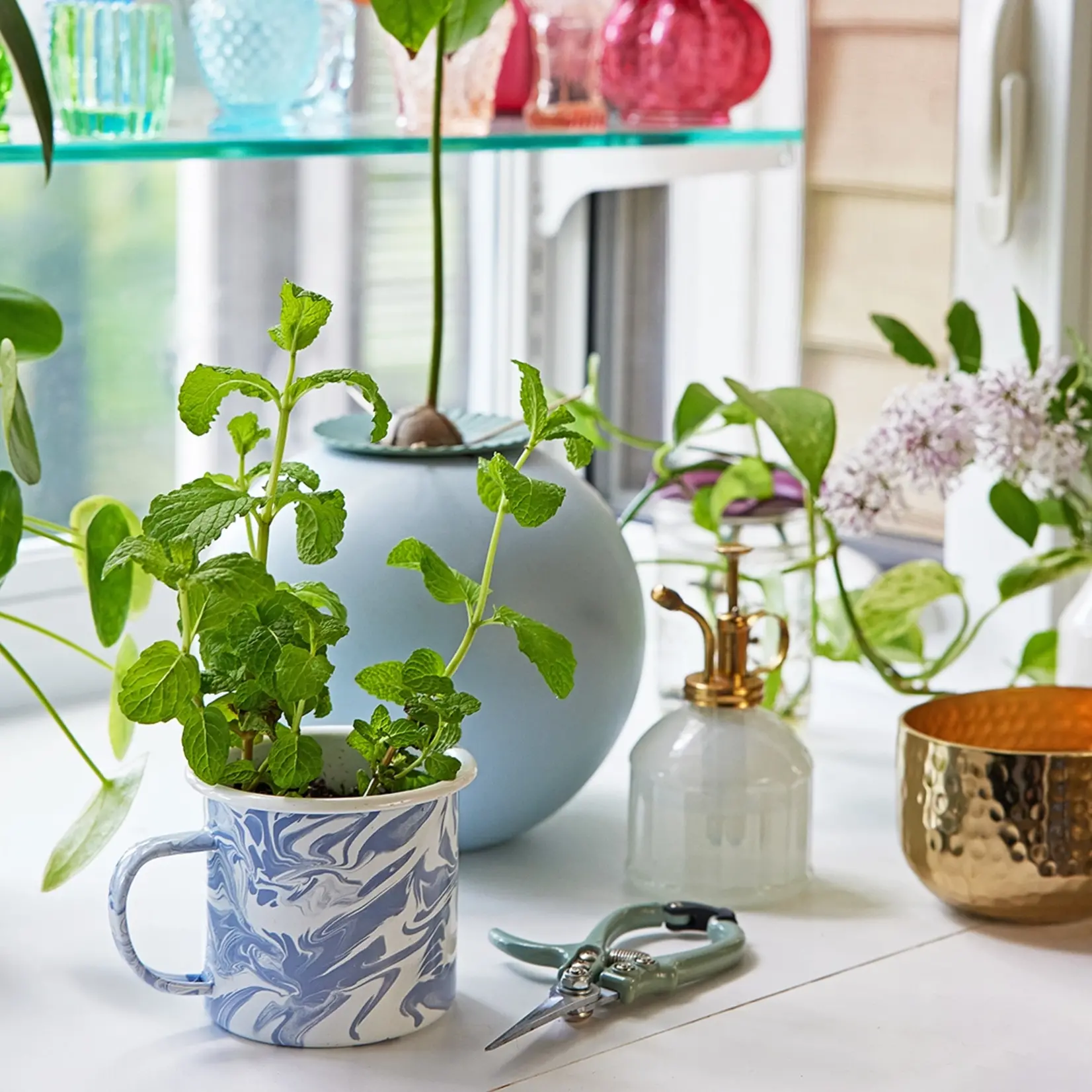 Modern Sprout Altered Herbs -Soothing Mint