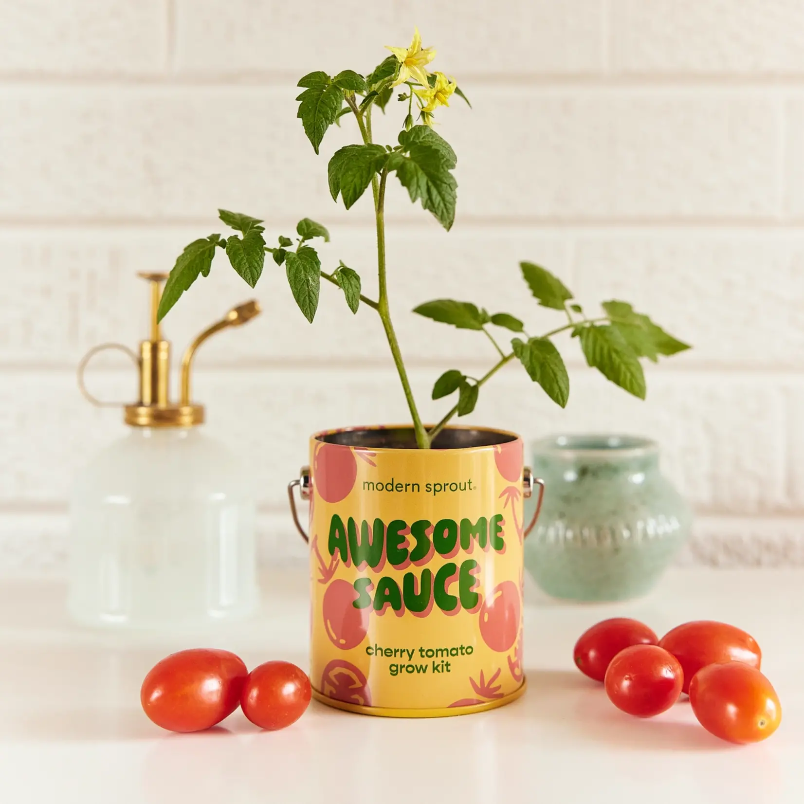 Modern Sprout Grow Kits Awesome Sauce