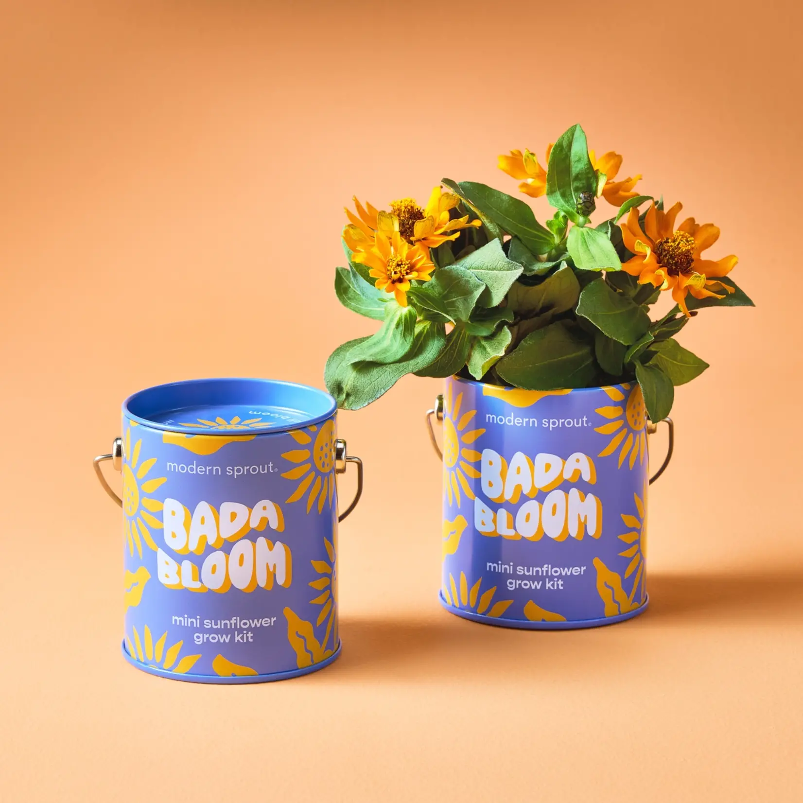 Modern Sprout Grow Kits Bada Bloom