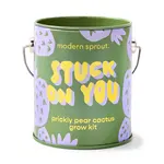 Modern Sprout Grow Kits Stuck on You