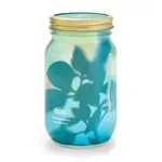 Modern Sprout Herb Garden Jar Basil