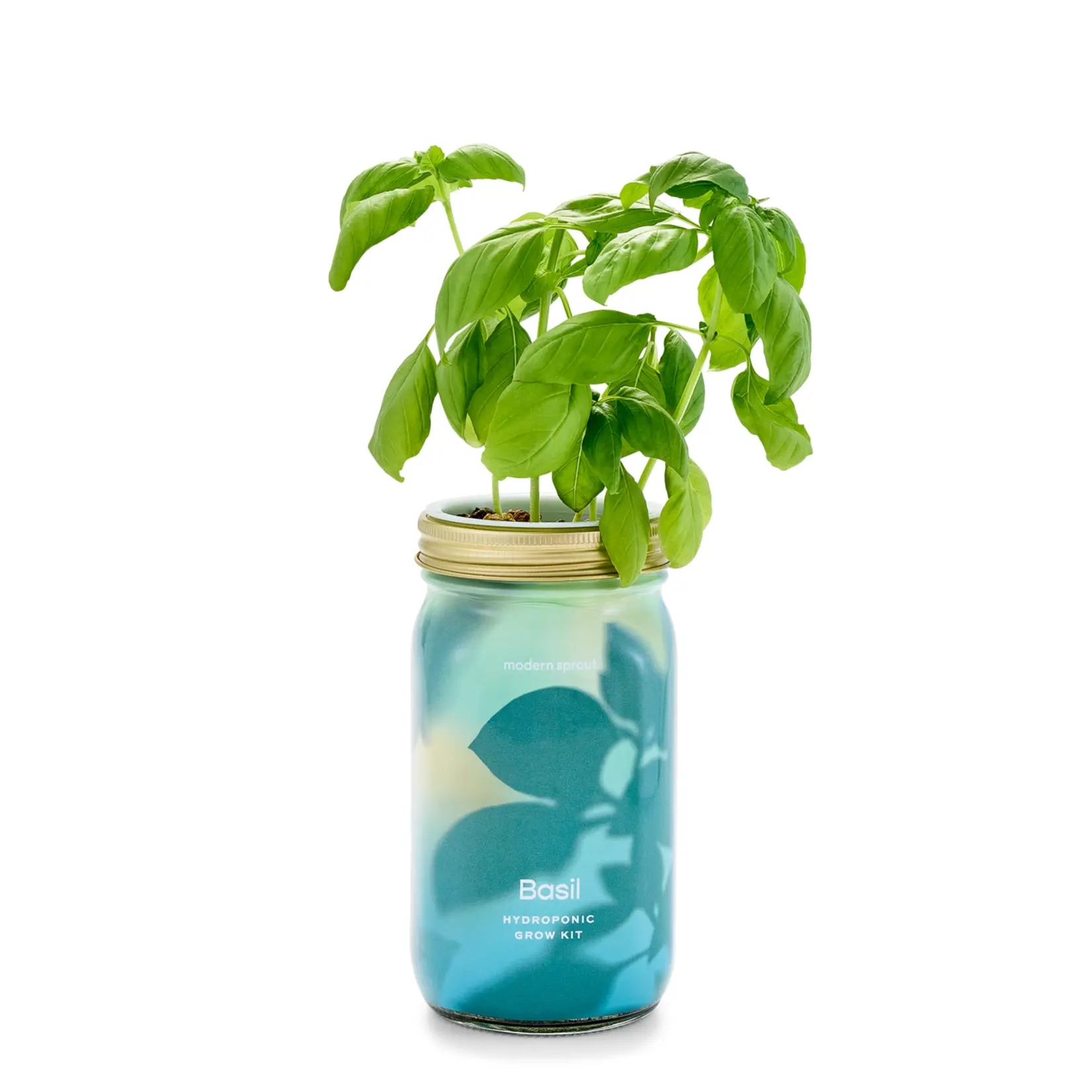 Modern Sprout Herb Garden Jar Basil