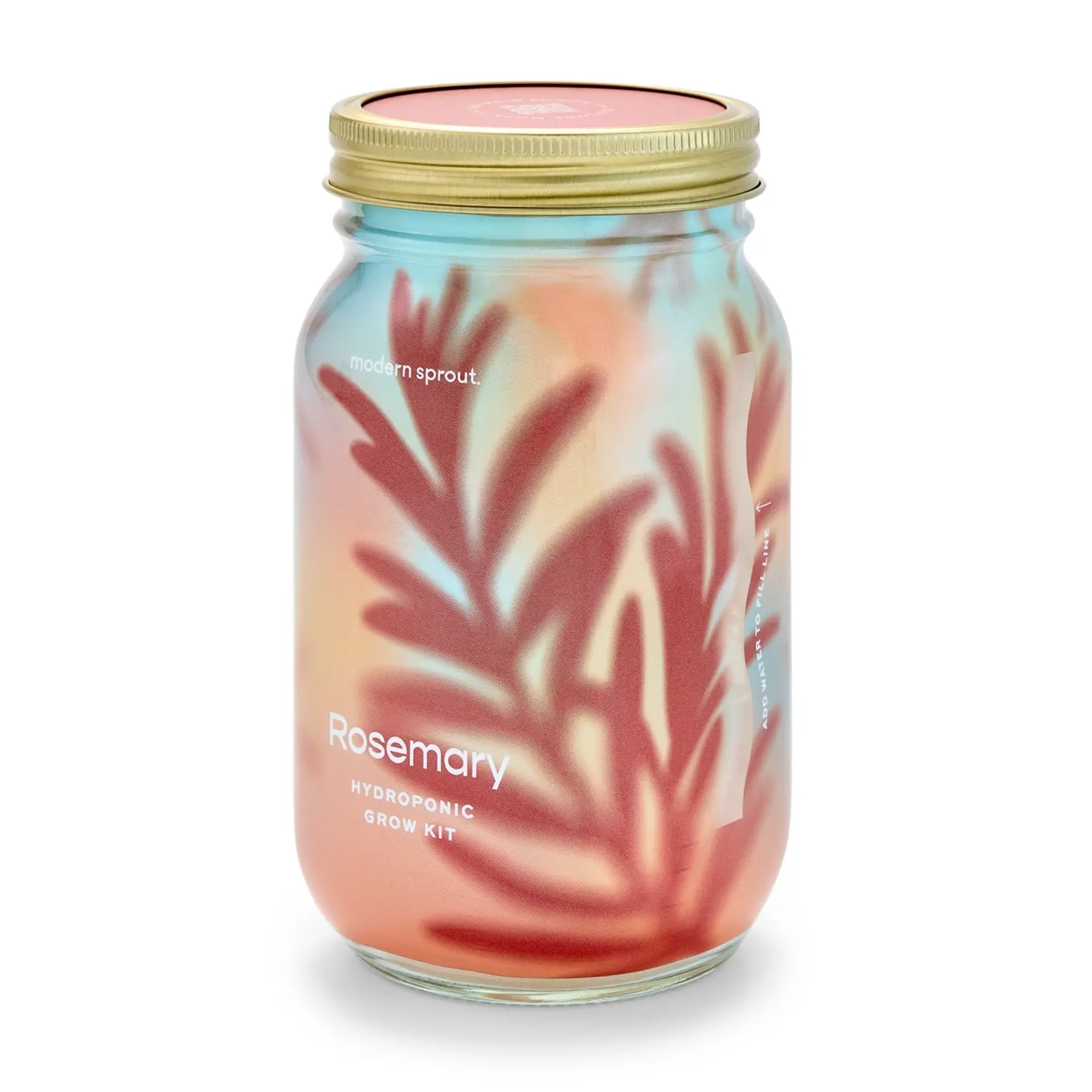 Modern Sprout Herb Garden Jar Rosemary
