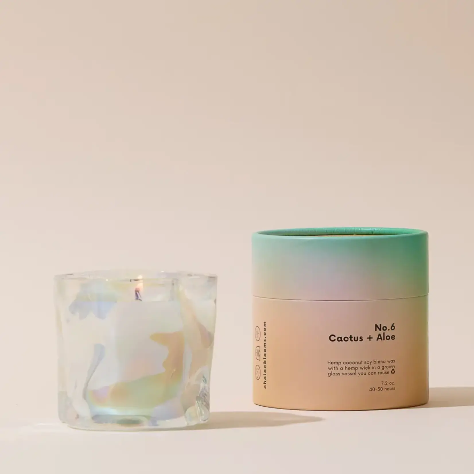 Choice Blooms No. 6 Cactus + Aloe Candle