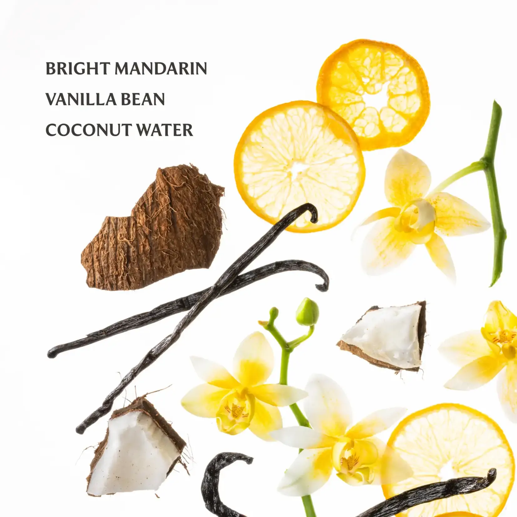 Touchland Vanilla Blossom Mist Hand Sanitizer