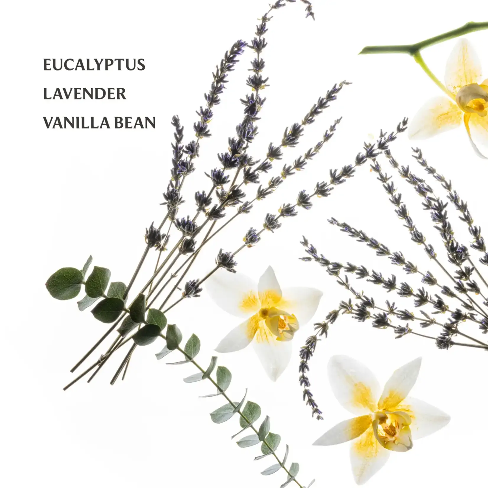 Touchland Pure Lavender Mist Hand Sanitizer