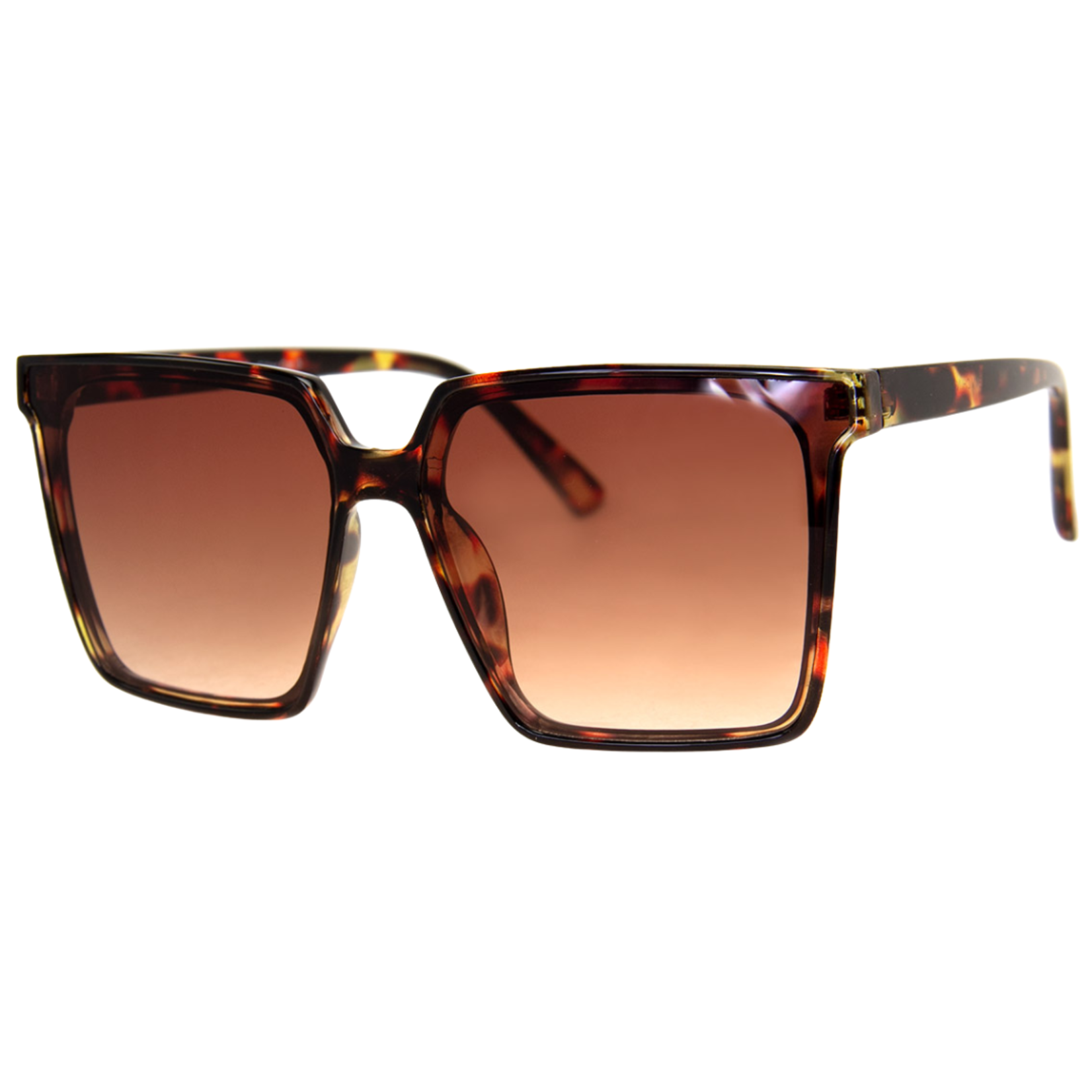 AJ Morgan Boxer Sunglasses TORTOISE