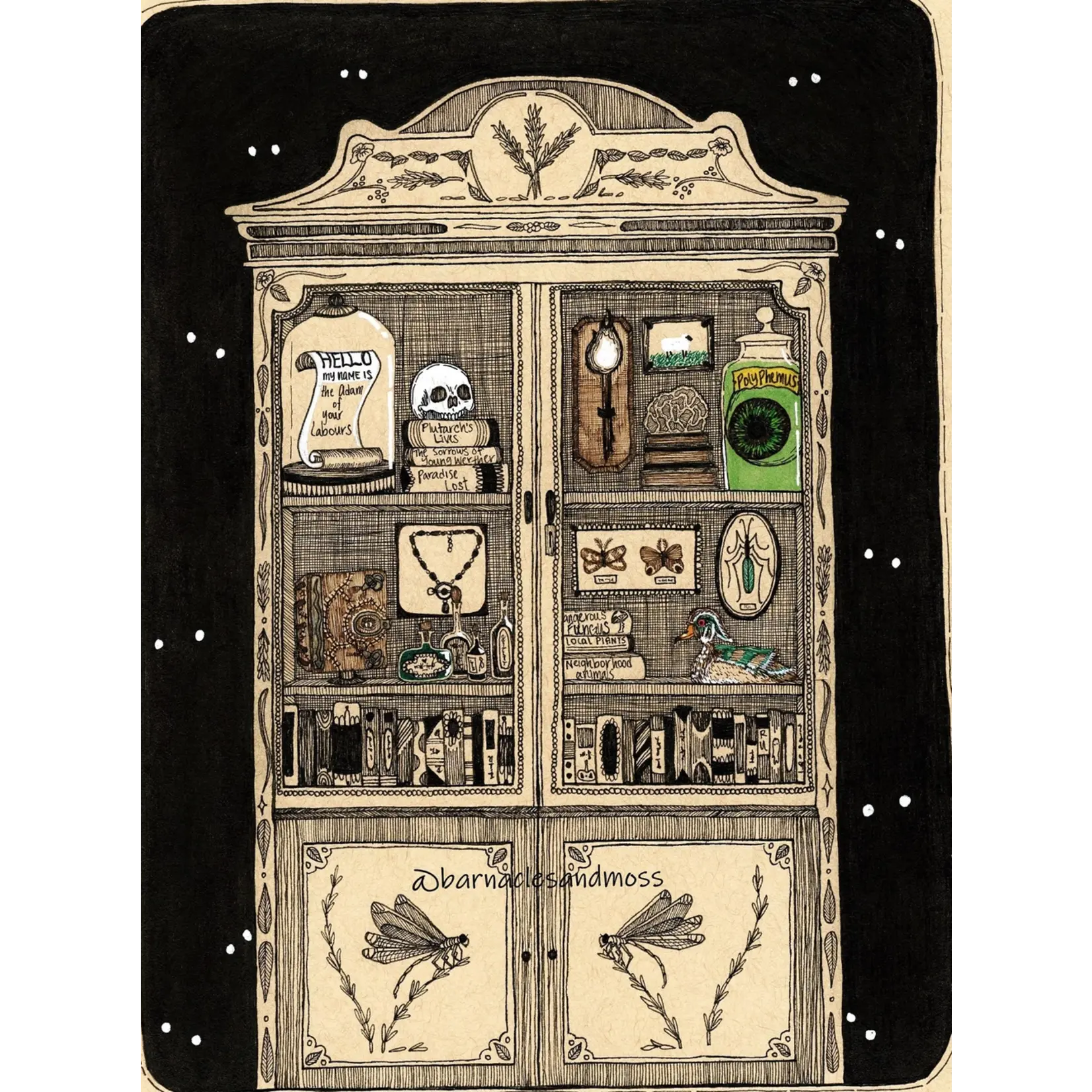 Barnacles and Moss Cabinet of Curiosities Fine Art Print