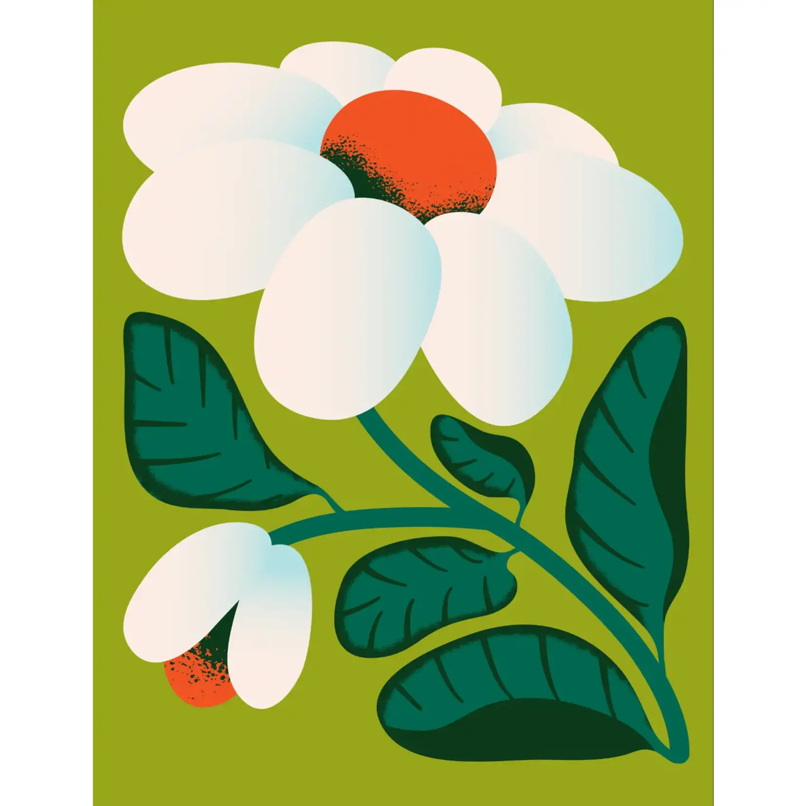Cards by De White Flower Card