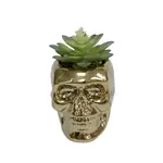 Flora Bunda Inc Metallic Skull Succulent