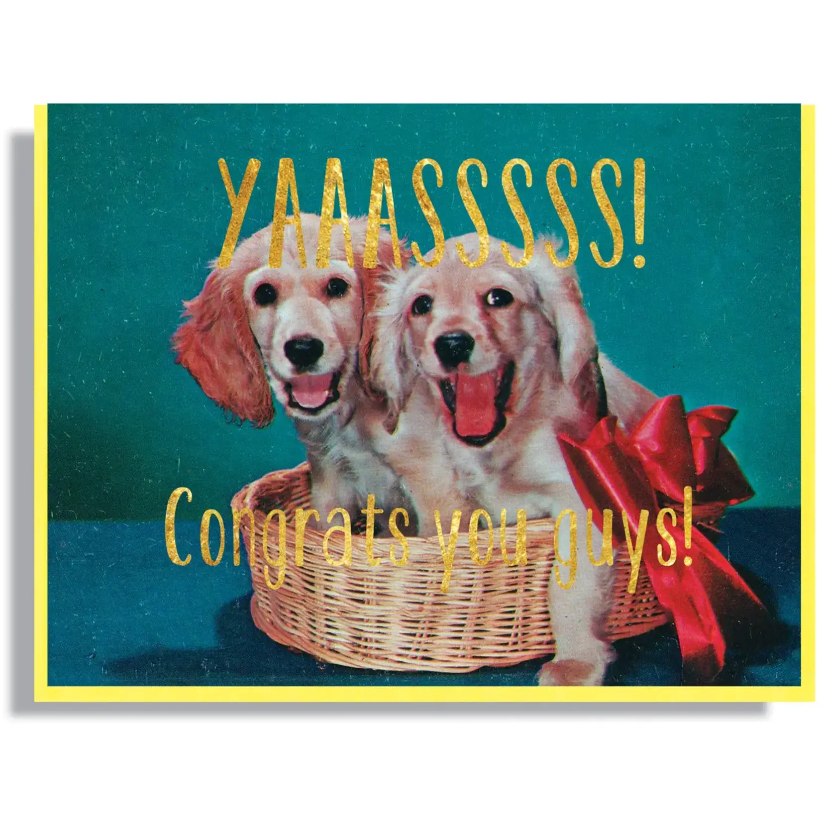 Smitten Kitten Congrats You Guys Card