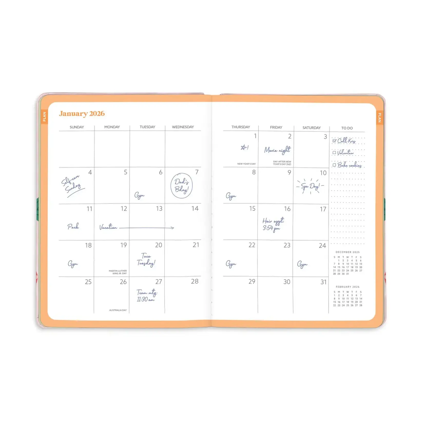 Studio Oh 2026 Strawberry Love Good Day Planner