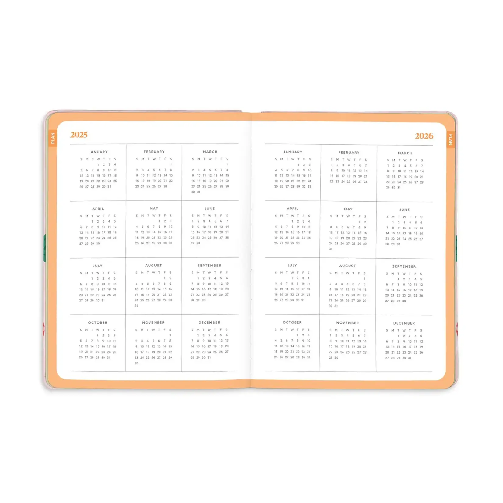 Studio Oh 2026 Strawberry Love Good Day Planner
