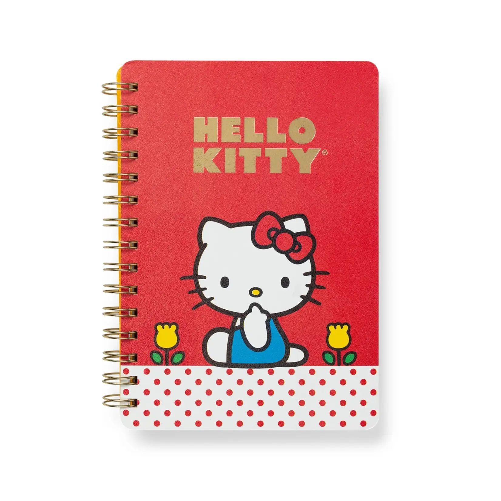 Studio Oh Agatha Notebook-Retro Hello Kitty