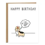 Tiffbits So Lucky Dog Pet Birthday Card