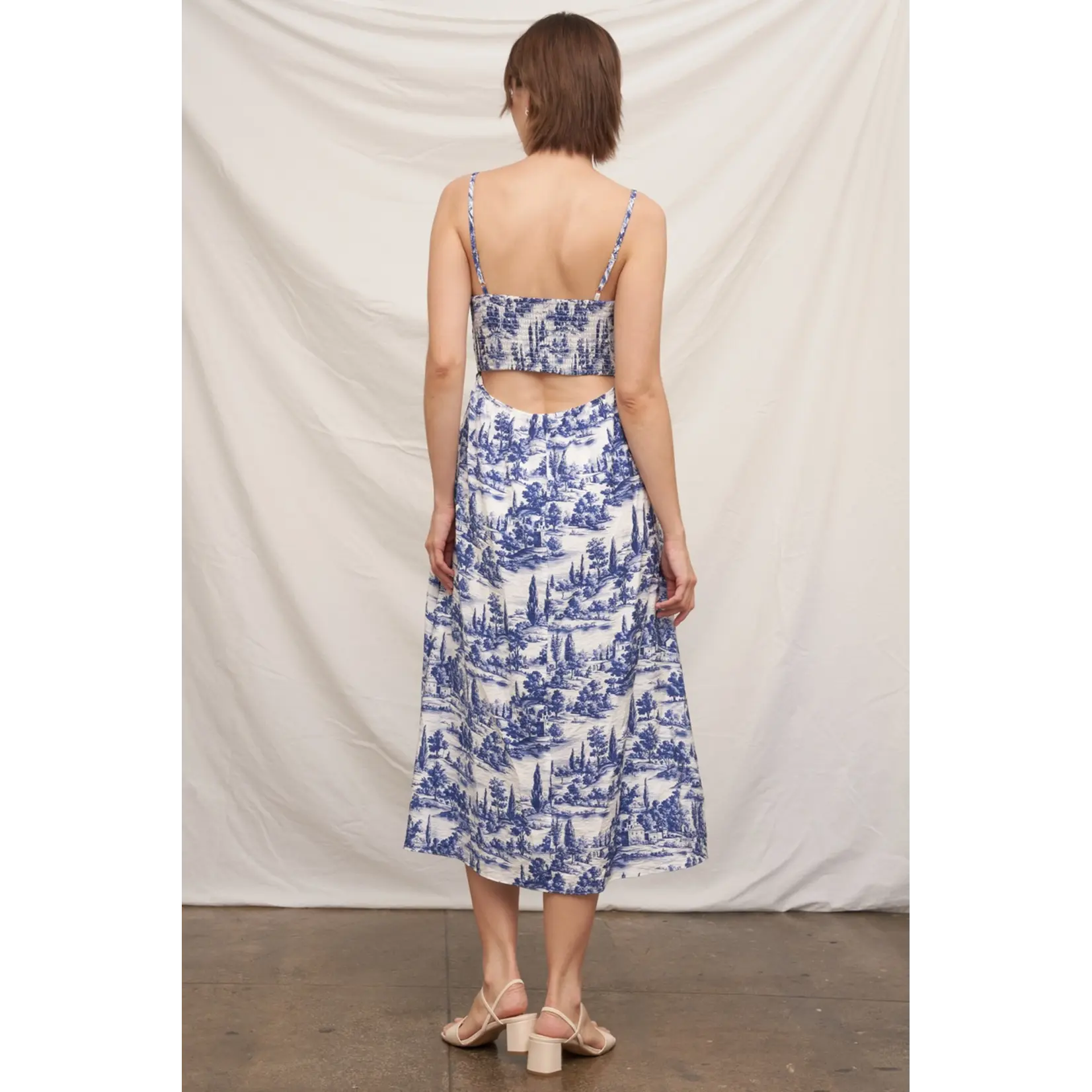 En Creme Sleeveless Toile Print Midi Dress- White Blue