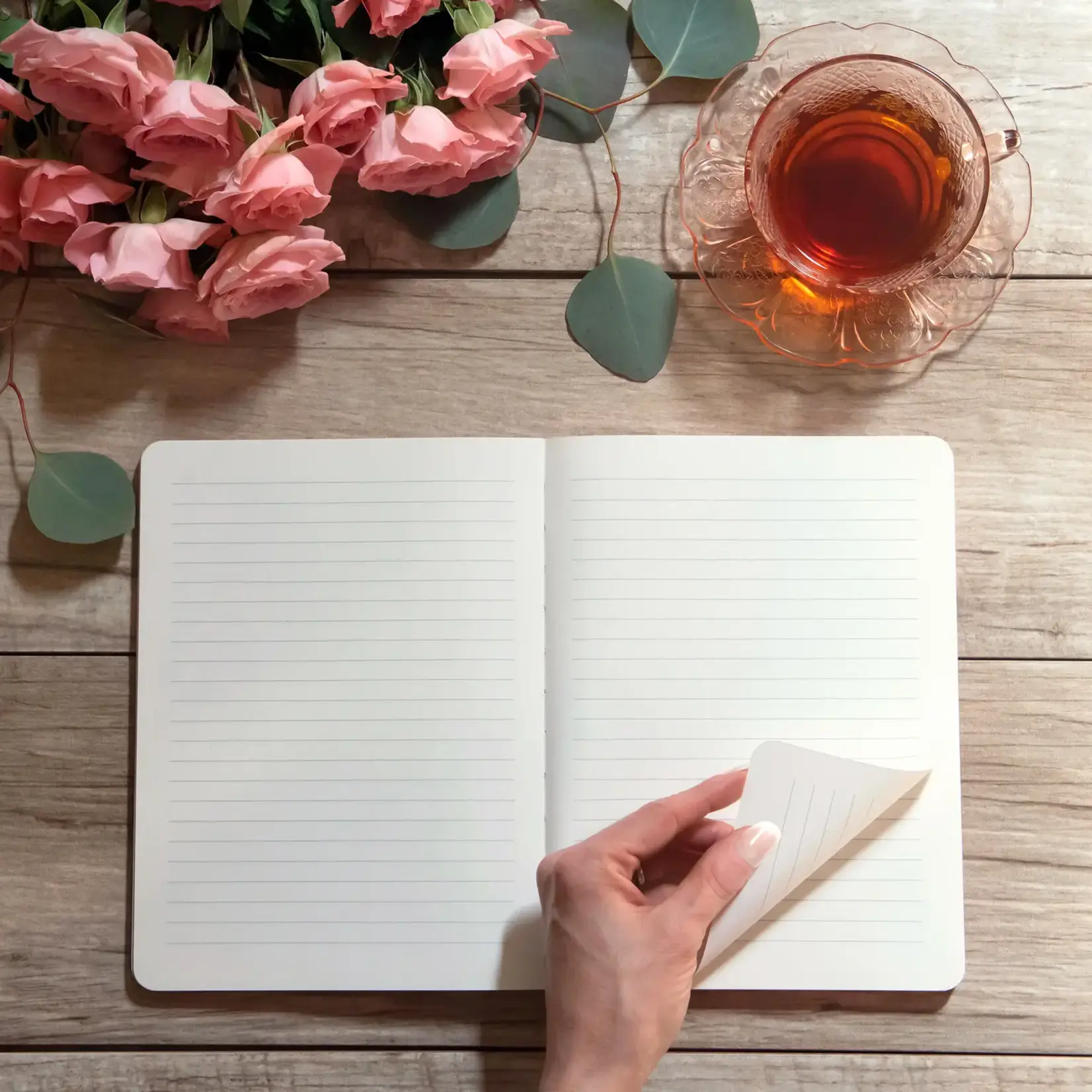 Studio Oh Deconstructed Journal Sun On the Horizon