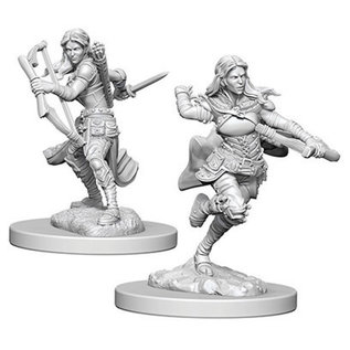 WizKids/NECA D&D Nolzurs: W4 - Air Genasi Female Rogue