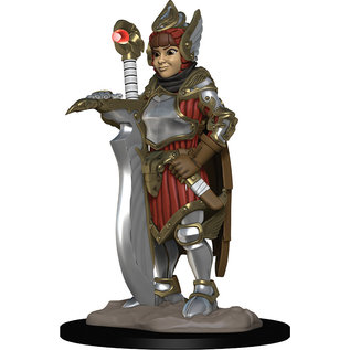 WizKids/NECA Wardlings: Girl Fighter & Falcon