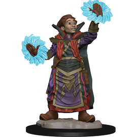 WizKids/NECA Wardlings: Boy Wizard & Imp