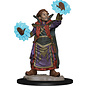 WizKids/NECA Wardlings: Boy Wizard & Imp