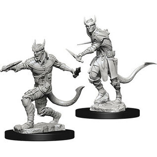 WizKids/NECA D&D Nolzurs: W5 - Tiefling Male Rogue
