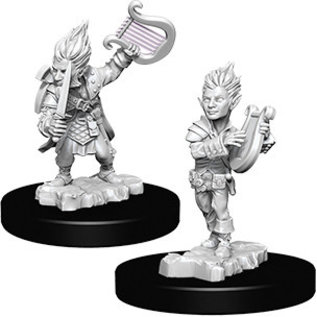WizKids/NECA Pathfinder Deep Cuts: W5 - Gnome Male Bard