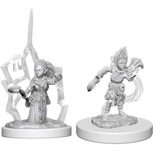 WizKids/NECA Pathfinder Deep Cuts: W5 - Gnome Female Druid