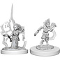 WizKids/NECA Pathfinder Deep Cuts: W5 - Gnome Female Druid