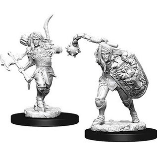 WizKids/NECA Pathfinder Deep Cuts: W6 - Male Elf Fighter