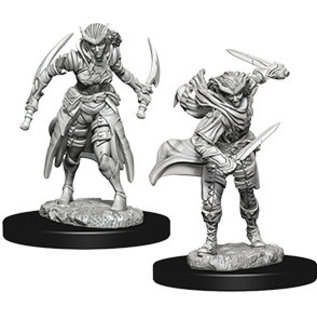 WizKids/NECA D&D Nolzurs: W7 - Tiefling Female Rogue