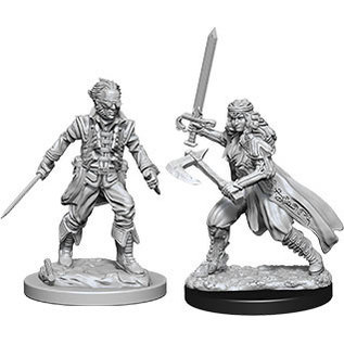 WizKids/NECA D&D Nolzurs: W8 - Vampire Hunters