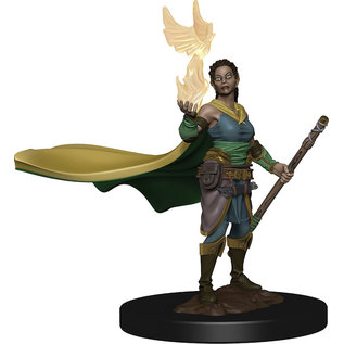 WizKids/NECA D&D Icons Premium: W1 - Elf Female Druid