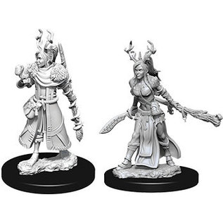 WizKids/NECA D&D Nolzurs: W9 - Female Human Druid